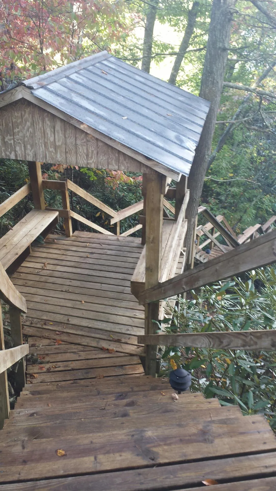 Metal roofed shelter over wooden steps on a wooded walkway — Skylight Repair & Installation work by our crew in Lucedale